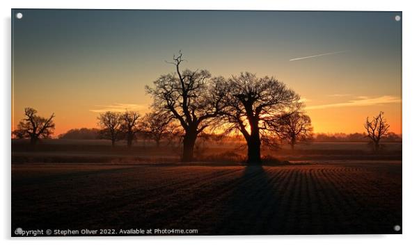 Hertfordshire Sunrise Acrylic by Stephen Oliver