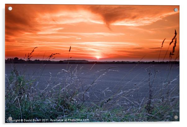 Sunset Over Fields Acrylic by David Borrill