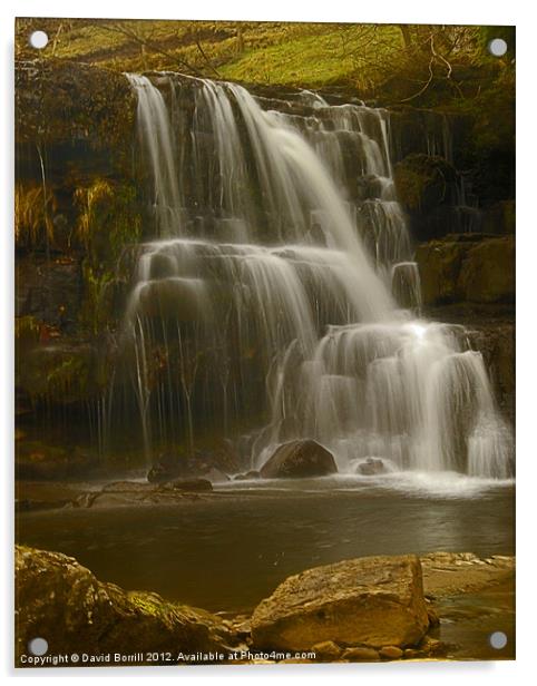 East Gill Upper Falls Acrylic by David Borrill
