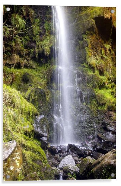 Mallyan Spout Acrylic by David Borrill