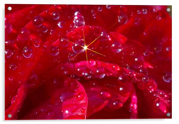 Raindrop star Acrylic by David Borrill