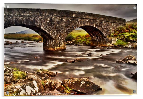 Hebridean River, Isle of Mull Acrylic by David Borrill