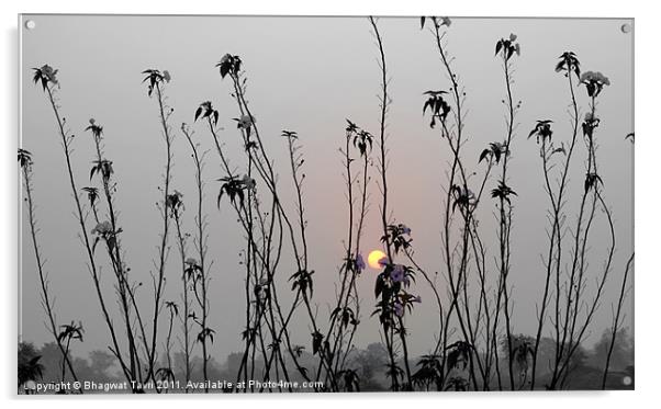 Sun-rise Acrylic by Bhagwat Tavri
