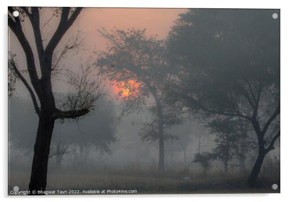 A Misty Morning.... Acrylic by Bhagwat Tavri