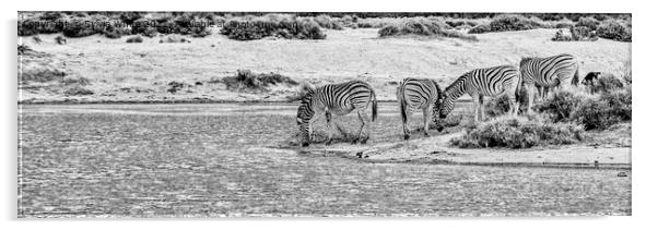 The Water Hole Acrylic by Sylvia White