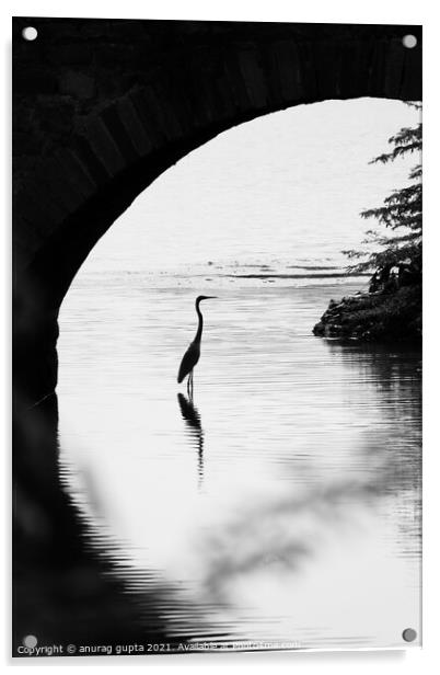 Bird under a bridge Acrylic by anurag gupta