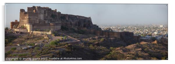 Jodhpur Fort Acrylic by anurag gupta