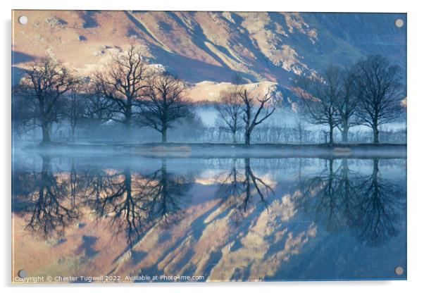 Buttermere Acrylic by Chester Tugwell