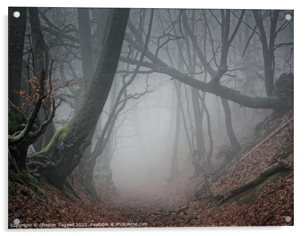 Black Down (South Downs) in Thick Fog Acrylic by Chester Tugwell