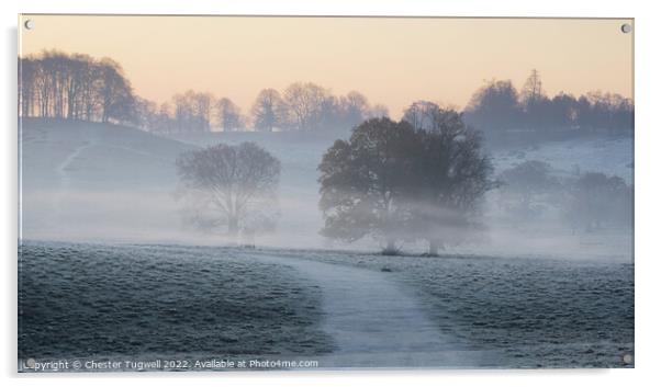 Petworth Park - Winter Morning Acrylic by Chester Tugwell