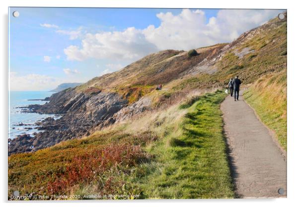 Langland Bay coastal walk to Caswell Bay Gower  Acrylic by Peter Thomas