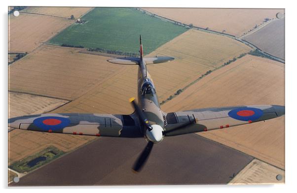Spitfire  Acrylic by John Siddle