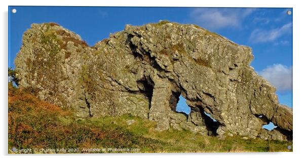 The Famous 'Lion Rock', Millport Acrylic by Charles Kelly