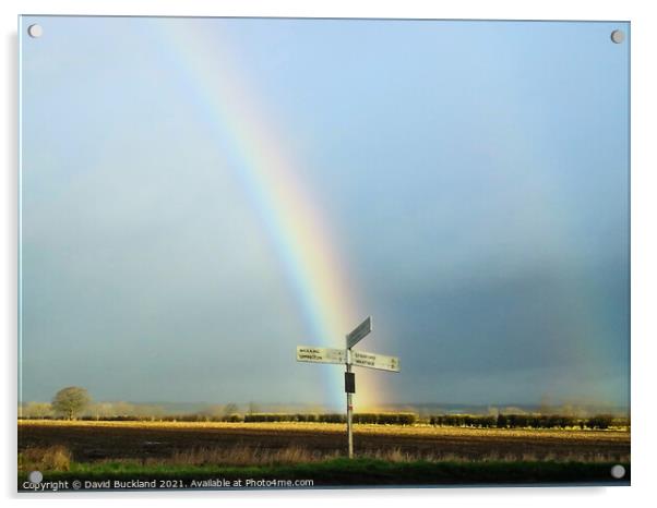 Rainbow Acrylic by David Buckland