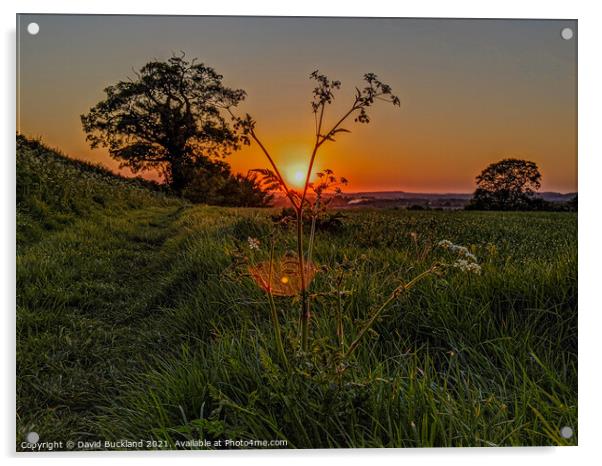 Kingston Lisle Sunset Acrylic by David Buckland