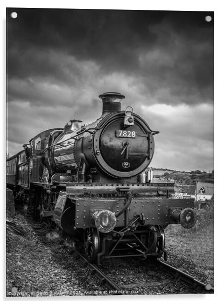 West Somerset Railway Acrylic by David Buckland