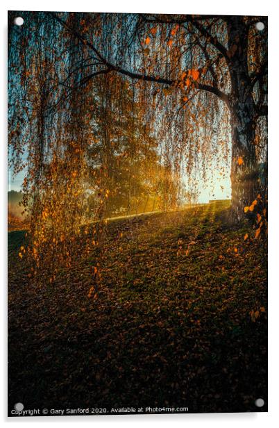 Essex Autumn Morning Acrylic by Gary Sanford