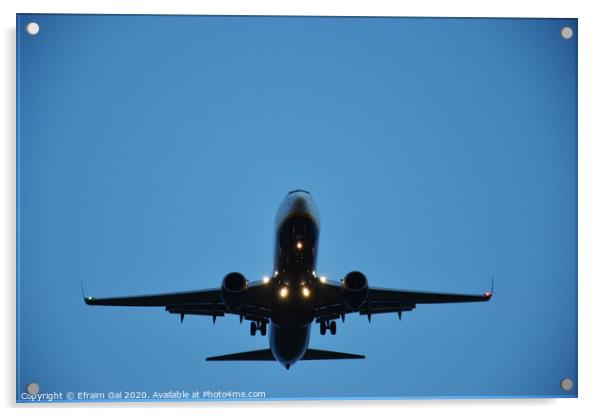 Landing Boeing  Acrylic by Efraim Gal