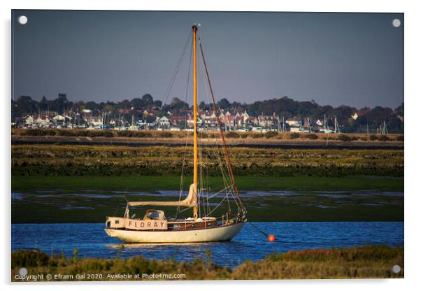 Floray and West Mersea Acrylic by Efraim Gal