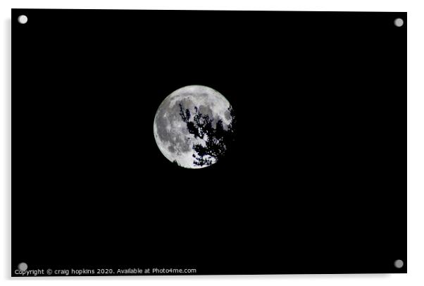 Full moon and shadow Acrylic by craig hopkins