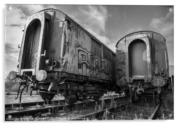 Rusty Railway Carriages with Graffiti Acrylic by Heather Sheldrick