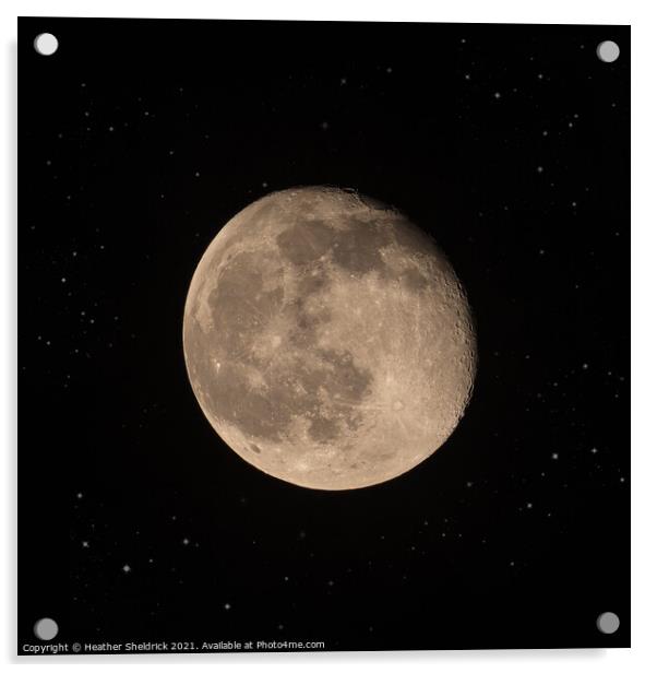 Moon At Midnight Acrylic by Heather Sheldrick