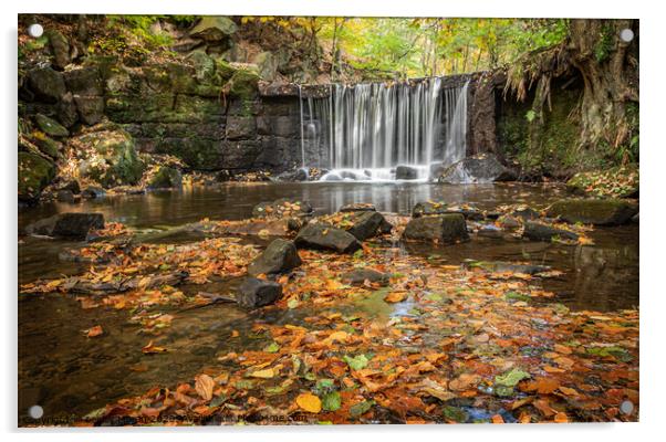 Autumn Waterfall Acrylic by Lesley Moran