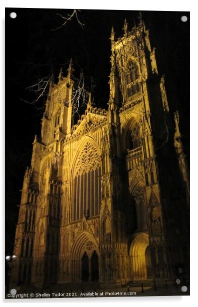 York Minster by night  Acrylic by Shelley Tudor
