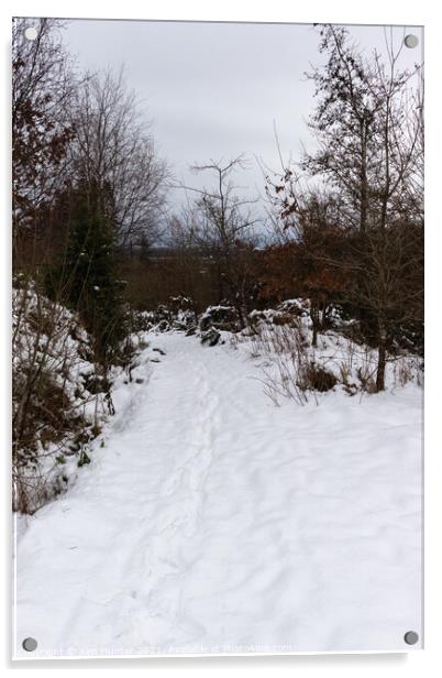 Snow-track through the woods Acrylic by Ken Hunter