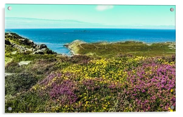 Penmaen Dewi - St. David's Head Acrylic by Paddy Art