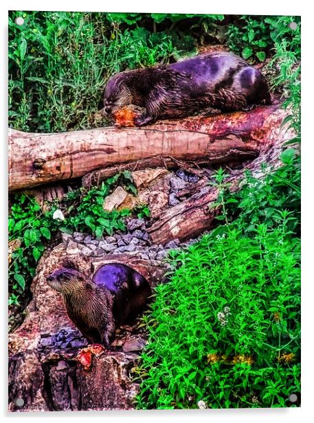 Otters at Lunch Acrylic by Paddy Art