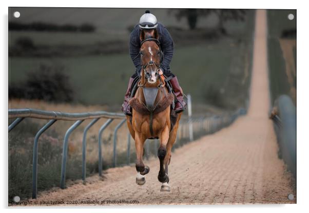 Horse at full speed up a 6 furlong all-weather hil Acrylic by Paul Tyzack