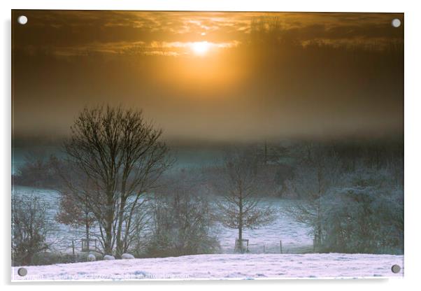 Sunrise Acrylic by Paul Tyzack