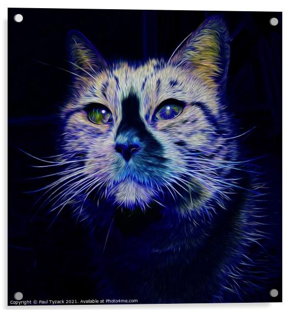 The blue cat Acrylic by Paul Tyzack