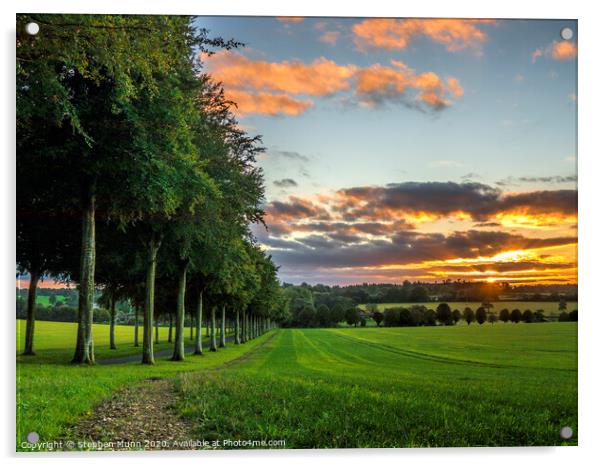 Moor Crichel tree avenue at sunset, Cranborne Chase, Dorset Acrylic by Stephen Munn