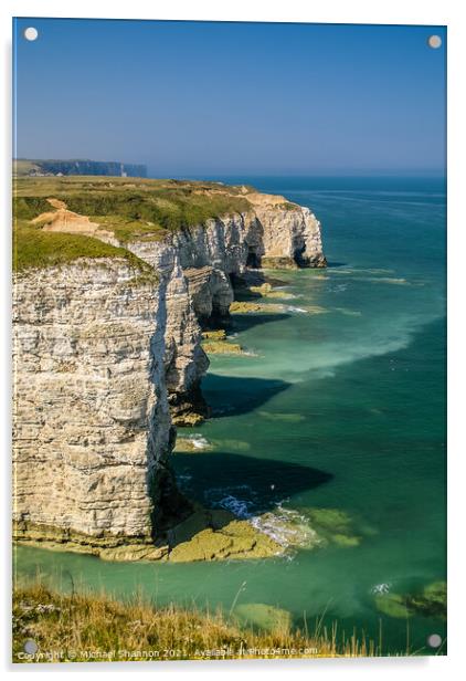 Stottle Bank Nook, Flamborough Head Acrylic by Michael Shannon