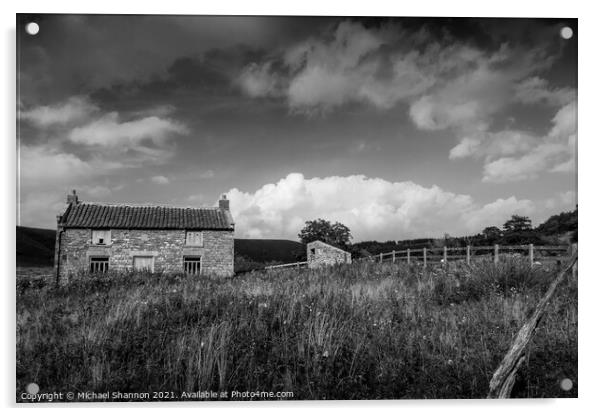 The Haunting Beauty of an Abandoned Farmhouse Acrylic by Michael Shannon