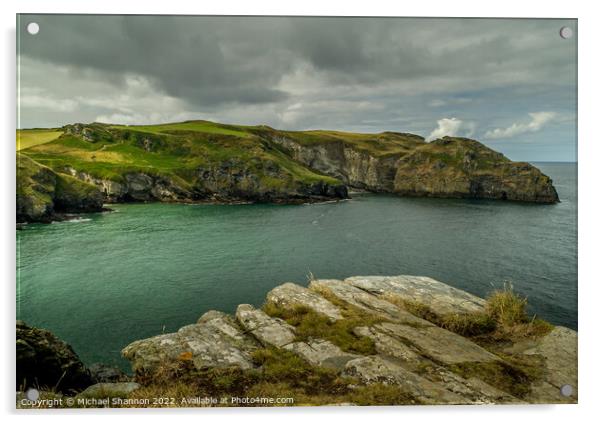 A view of Bossiney Cove in Cornwall from the cliff Acrylic by Michael Shannon