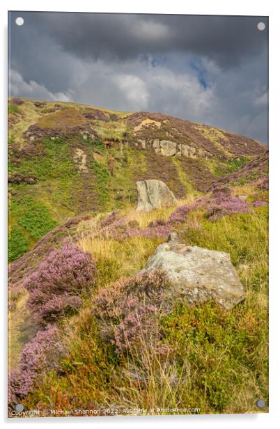 North Yorkshire Moors Landscape - Rosedale Head  Acrylic by Michael Shannon