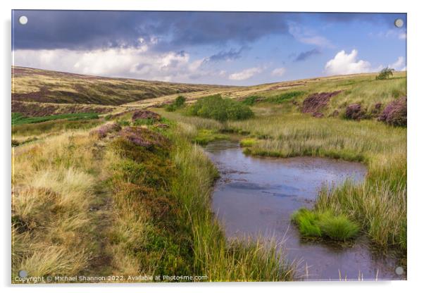 Patches of purple moorland and a small pond - Rose Acrylic by Michael Shannon