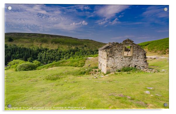 Derelict Stone Barn in Swaledale Acrylic by Michael Shannon