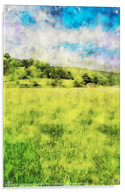 Wild Flower Meadow, Muker, Swaledale (Watercolour  Acrylic by Michael Shannon