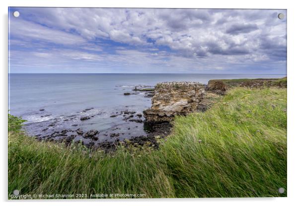 Enchanting Clifftop Scenery at Jack Rock Acrylic by Michael Shannon