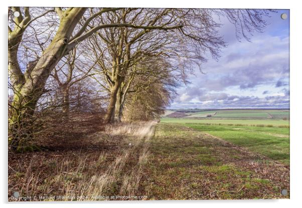 Yorkshire Wolds Countryside Acrylic by Michael Shannon