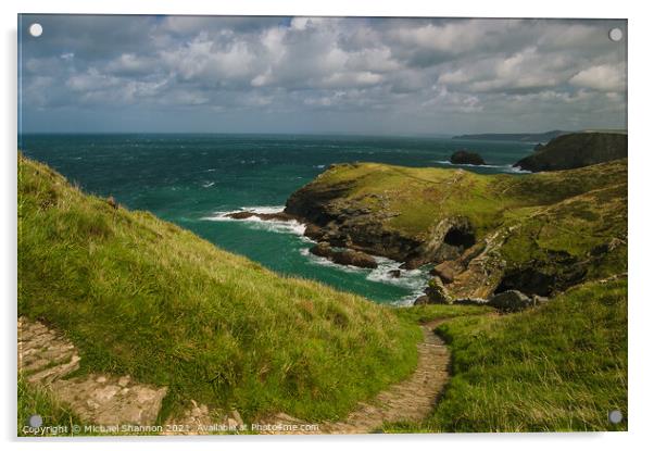Cliff path leading to beach at Tintagel, Cornwall Acrylic by Michael Shannon