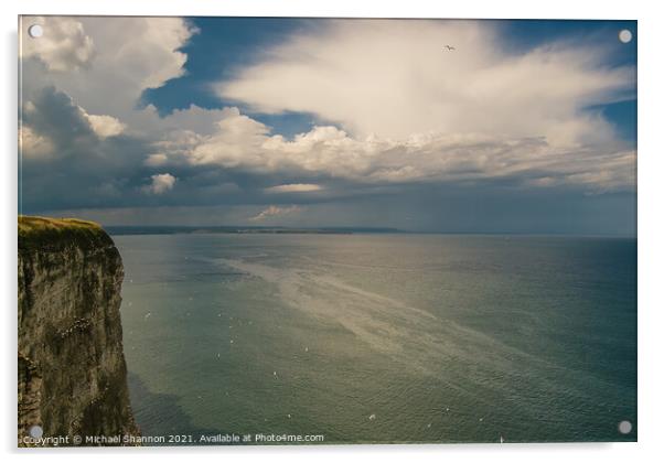 Seabirds at Bempton Cliffs on the North Yorkshire  Acrylic by Michael Shannon