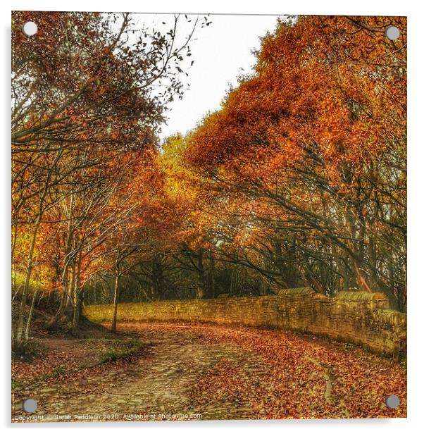 Autumn on the Roman road, stalybridge Acrylic by Sarah Paddison