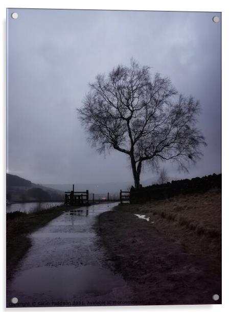 Solitary tree and fence at Dovestones Acrylic by Sarah Paddison