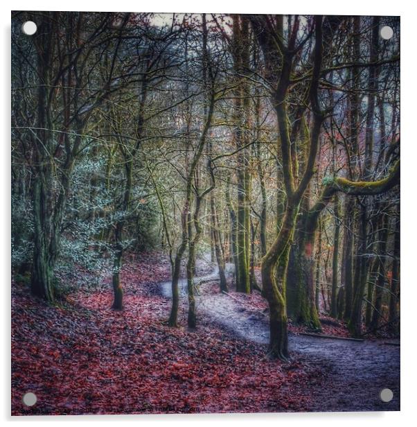 Path through an autumnal wonderland Acrylic by Sarah Paddison