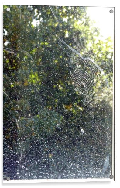 Rain on the Window, or Alien Space Acrylic by Sheila Eames